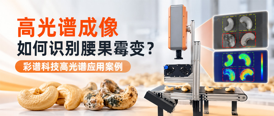 高光谱成像如何识别腰果霉变？ | 彩谱科技高光谱应用案例