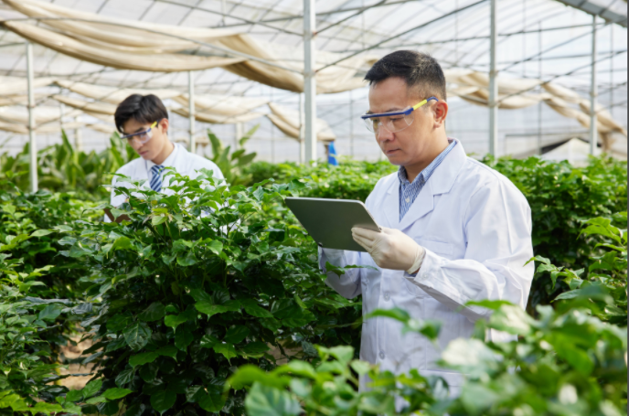 植物表型高光谱相机哪家好？