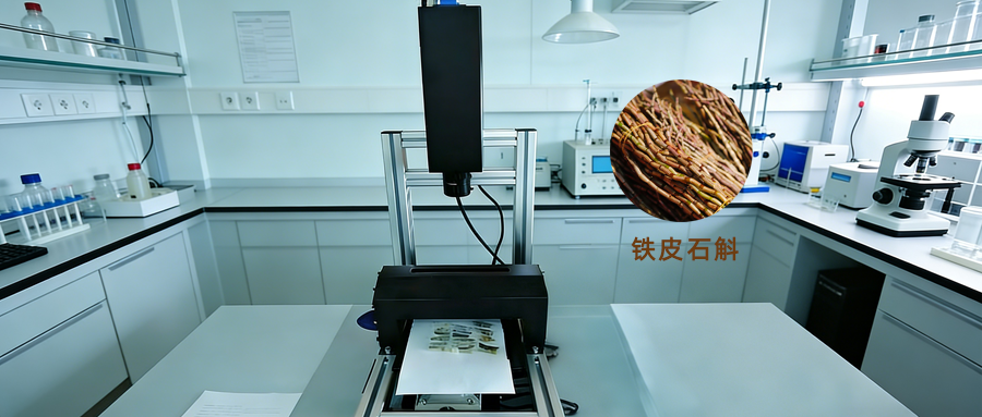 高光谱成像技术在铁皮石斛产地鉴别中的应用探索