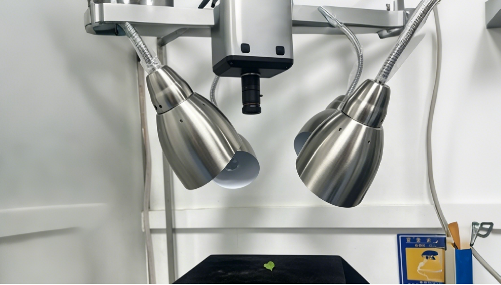 高光谱成像赋能辣椒农残监测：从实验室到田间的无损检测新路径